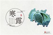 2024年几月几日是寒露节气