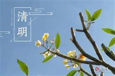 2025年清明节怎么休假