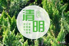 2025年清明节吃什么