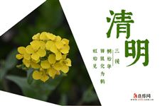 2025年清明节几月几号