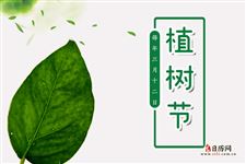 今年植树节是几月几号2025