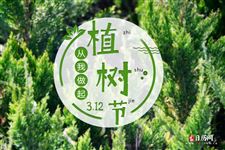 今年植树节是哪一天2025