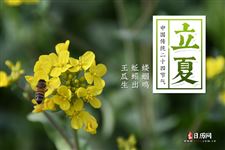2025立夏是几月几日日