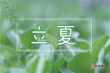 2025年的立夏是几月几日几点