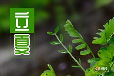 今年立夏准确时间2025