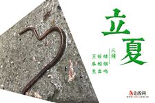 2025年是哪天立夏