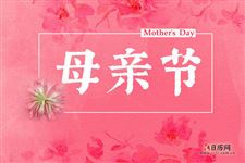 2025年母亲节送什么花除了康乃馨