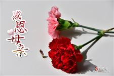 2025年母亲节给老婆送什么礼物好