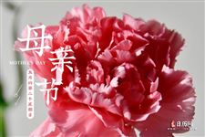 2025母亲节是什么时候