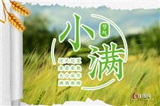 2025年小满是农历哪一天