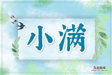 今年的小满节气是哪一天2025
