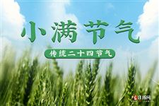 2025年廿四个节气中的小满是哪一天