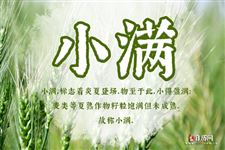 2025小满节气是哪一天