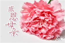 2025年母亲节是几月几号和父亲节时间