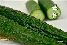 2025年的芒种是哪天
