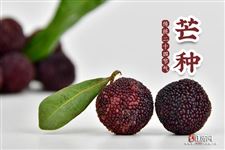 2025年芒种节是哪天