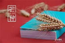 2025年芒种是几月几号?