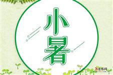 2025年小暑是几月几日几时几分