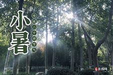 2025年24节气中的小暑是几月几日星期几