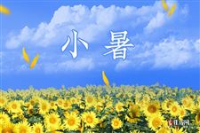 2025小暑是几月几日星期几