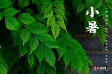 2025年的小暑是农历的几月几日