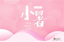 2025年的小暑是几月几日