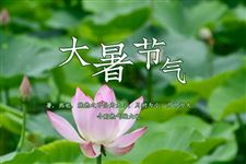 25年大暑节气是几月几号