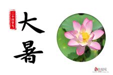 2025年大暑节气是几月几号星期几
