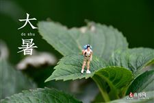 2025年大暑节气是几月几号