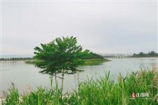 2025年三伏天是从什么时候开始的