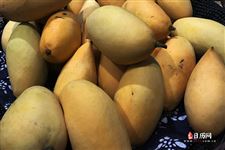 2025三伏天的三伏时间
