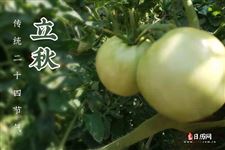 立秋是2025年几月几日几时几分