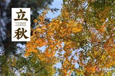 2025年立秋是什么时间