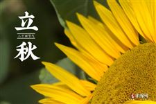 2025年立秋是什么时候