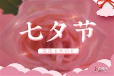 2025年的七夕节是哪天 2025年的七夕节是哪天