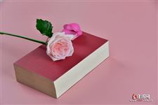 2025年七夕节什么时候开始的 2025年七夕节什么时候开始的