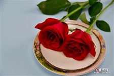 七夕2025是哪一天几月几日 七夕2025是哪一天几月几日