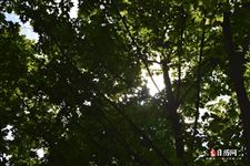 2025年中元节禁忌几点不能出门 2025年中元节禁忌几点不能出门