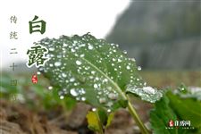 25年9月7日白露在几点
