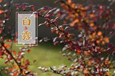 2025年白露时间几点几分几秒
