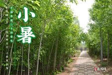 今年小暑几月几号2025