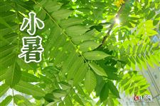 2025年小暑是几点几分