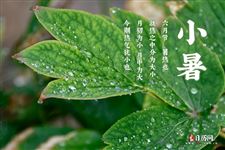 2025年小暑几月几号