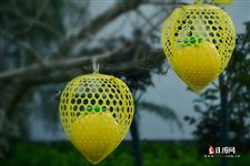 2025年中秋节哪一天是三倍工资