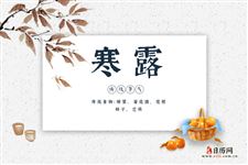 2025年寒露准确时间几点几分