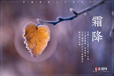 今年几号霜降?2025