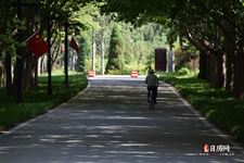 2025年重阳节是阴历哪一天