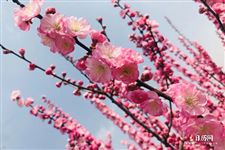 2026年春社日是什么时候