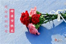 2026年是第几个母亲节