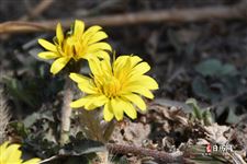 2026年劳动节放假时间表